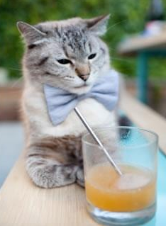 华体会下载-非洲之心，绿茵之争，当意甲尼日利亚球星碰撞皇马白色帝国的统治野望  第1张